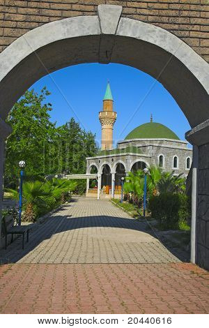 Moschee und Palmen Baum