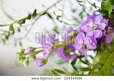 a tender wedding arrangement of fresh flowers. for decorating a table or a wedding car