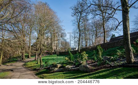 A view of St Machar's Cathedral through trees in Seaton Park Aberdeen