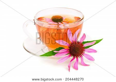 Echinacea tea isolated on white background. Medicinal tea.