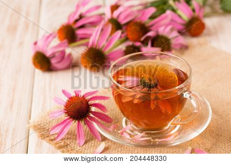 Cup of echinacea tea on white wooden table.
