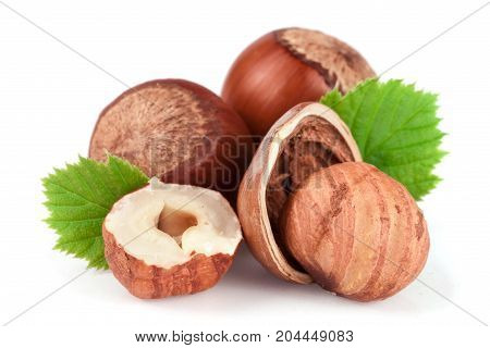 Hazelnuts with leaves isolated on white background.