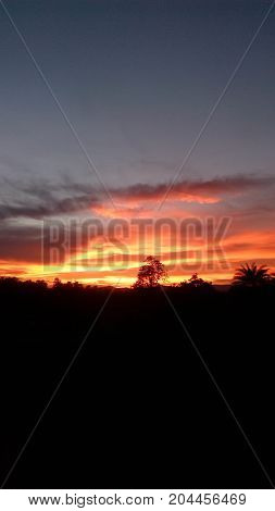 evening photo of sunset.