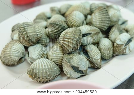 The fresh cockles serve on dish for seafood background.