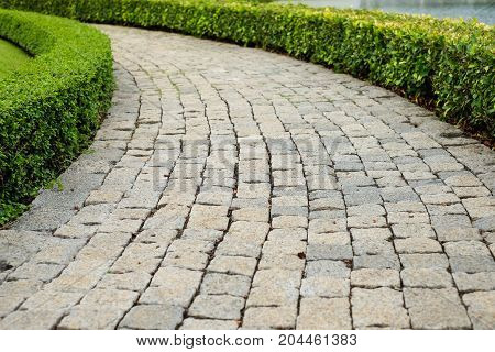 The old vintage rough brick walkway (footpath sidewalk) and shrubs in the garden for street background or texture - construction concept.