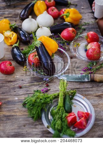 Clouse-up of vegetables and meat. Colorful table.