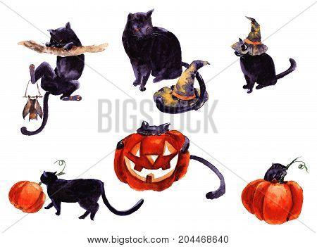collection of different element fantasy cats to halloween cartoon