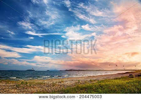 a beach on the sea, sand and waves, seagulls fly over the water. Sunset