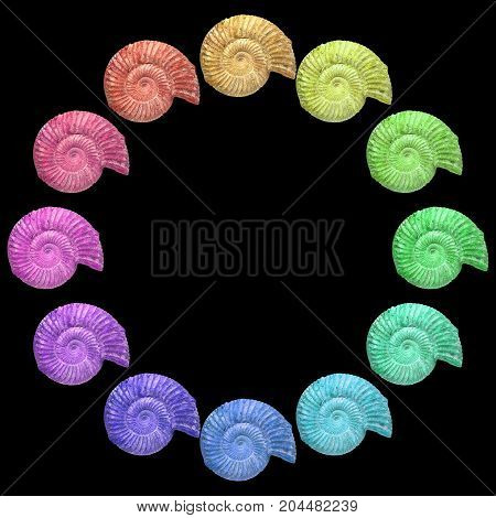 Well preserved fossilization of an extinct ammonite.