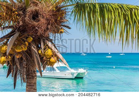 Landscape Of The Caribbean Sea, Bayahibe, La Altagracia, Dominican Republic. Copy Space For Text.