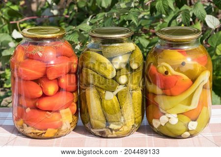 Canned Vegetables . Tomatoes, Peppers. Glass Jar With Lid.