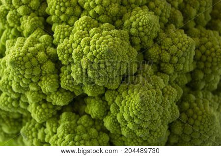 Roman cauliflower close up. Fractal Texture of Romanesco broccoli.