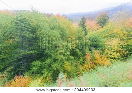 Motion blur of foliage on windy New Hampshire mountainside