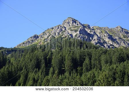 view to the mountain krinnenspitze in the tannheimer alps in Austria