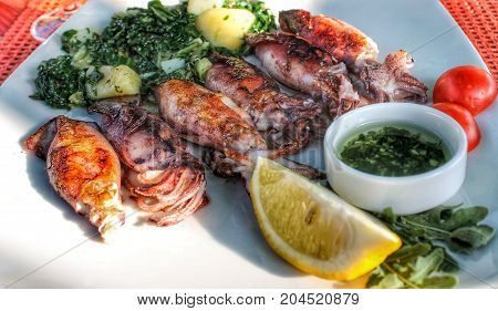 delicious calamari on white plate with potato and borecole