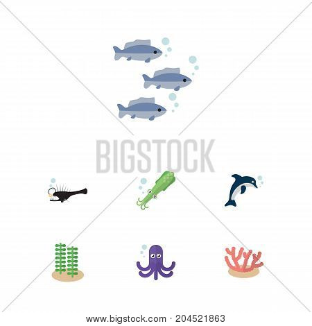 Flat Icon Marine Set Of Algae, Seaweed, Fish And Other Vector Objects