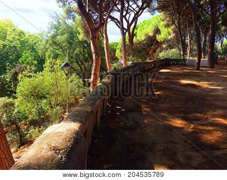 The nature of Catalonia. Spanish flora in bright colors on a clear day