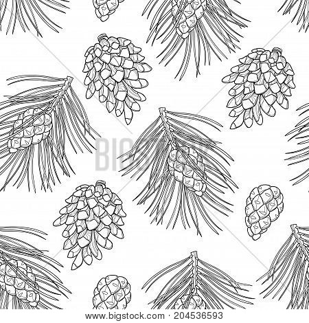 Vector seamless pattern with outline Scots pine or Pinus sylvestris. Pine and cones in black on the white background. Pattern in contour style with coniferous for Christmas design and coloring book.
