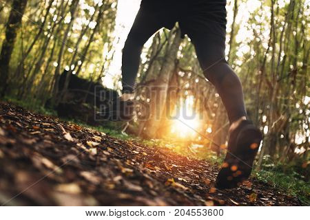 Сlose-up Photo Of Fast Running Athlete's Foot Across A Rough Terrain In Forest. Intentionally Blurre