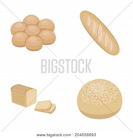 Cut loaf, bread roll with powder, half of bread, baking.Bread set collection icons in cartoon style vector symbol stock illustration .