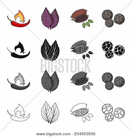 Chili pepper, spice basil, coffee beans, black pepper. Spices set collection icons in cartoon black monochrome outline style vector symbol stock illustration .