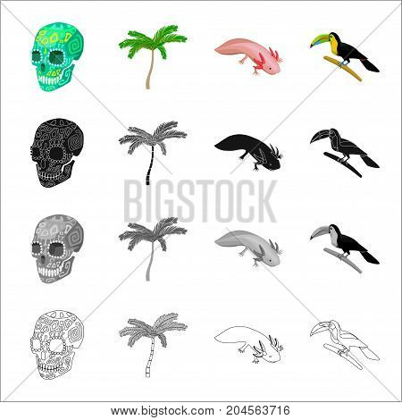 A human skull, a palm tree, Ambystoma mexicanum, a tukan bird. Country Mexico set collection icons in cartoon black monochrome outline style vector symbol stock illustration .