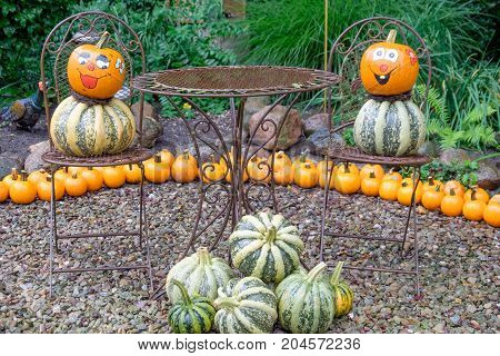 nice garden in Germany with a lot of pumpkins