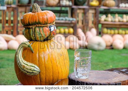 nice garden in Germany with a lot of pumpkins