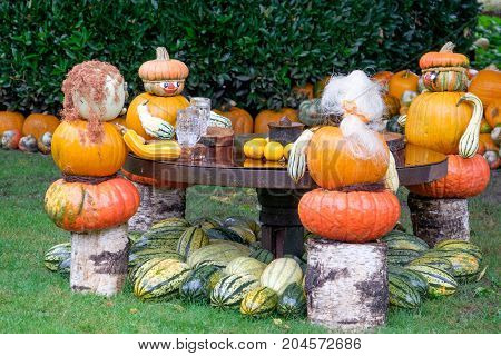 nice garden in Germany with a lot of pumpkins