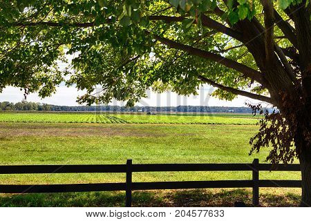 A farm in Southern New Jersey during the fall harvest.