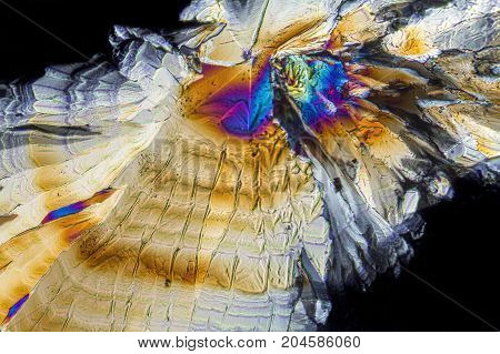 colorful microscopic shot of Trisodium citrate microcrystals in polarized light