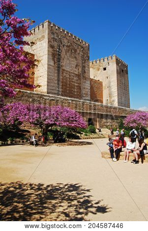 GRANADA, SPAIN - MARCH 25, 2008 - Cistern Court (Plaza de los Aljibes) East side of the castle with pink tree blossom in foreground and tourists enjoying the sights Palace of Alhambra Granada Granada Province Andalusia Spain Western Europe, March 25, 2008