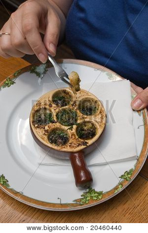 Pişmiş salyangoz