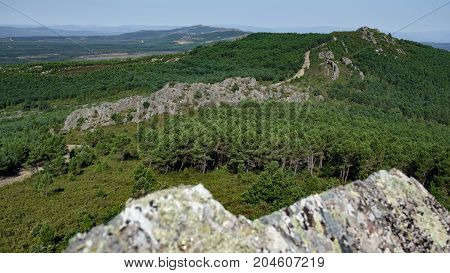 Profile of mountain peaks with rocks and firebreaks between pine tree forest