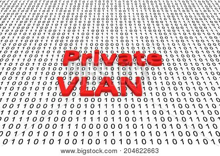 Private VLAN a binary code 3D illustration