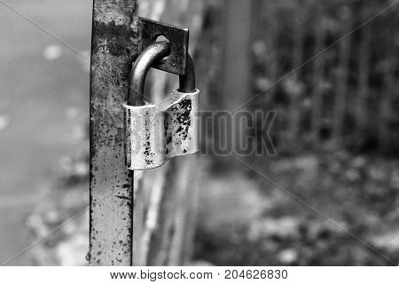 Metal Lock On The Fence In The Park