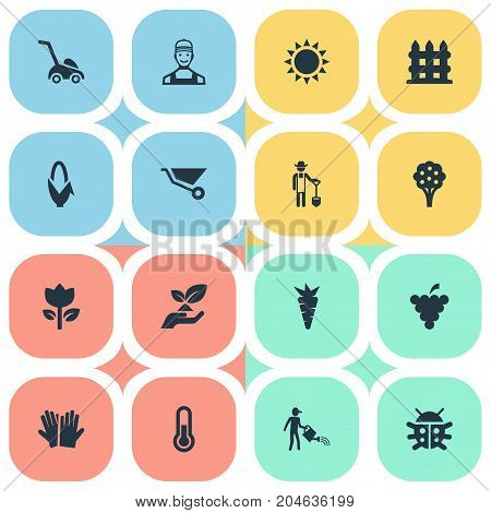 Elements Root, Apple Timber, Worker And Other Synonyms Shine, Grass And Spade.  Vector Illustration Set Of Simple Garden Icons.