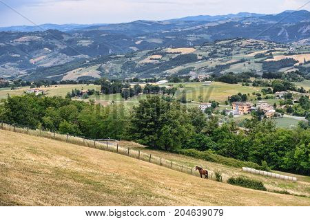 Summer landscape along the road from Serramazzoni to San Dalmazio (Modena Emilia Romagna Italy) at summer