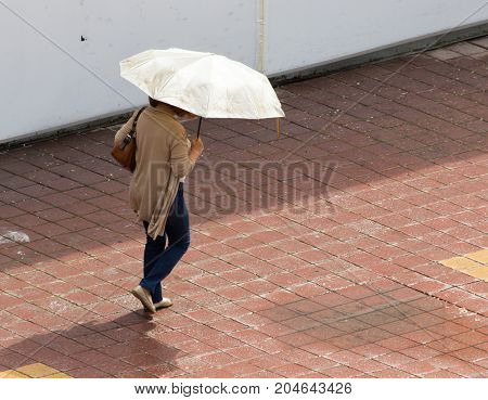 Girl with umbrella walking along paving stones .