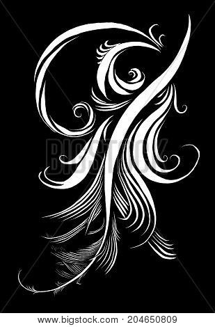 Feather calligraphic pen beauty elegance pattern background