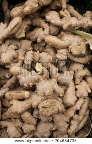 heap of ginger root Ginger background A bunch of ginger on the counter of a vegetable supermarket for sale top view