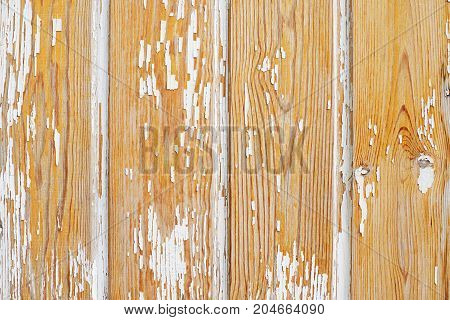 Old wood with white paint. Vertical rows