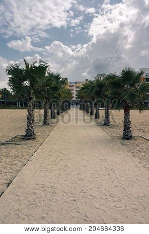 Sandy beach road through the palm avenue from the Adriatic Sea towards the houses. Albania. Golem