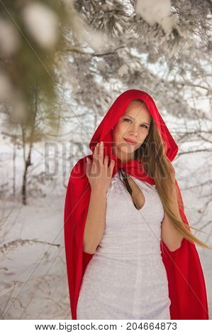 Girl in costume Little Red Riding Hood with dog like a wolf and a basket with apples and pies in the winter in the woods in the snow