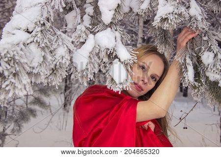Girl in costume Little Red Riding Hood with dog like a wolf and a basket with apples and pies in the winter in the woods in the snow