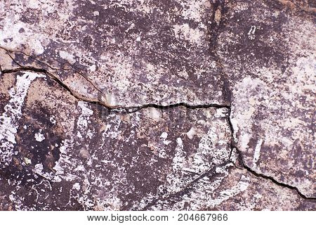 Concrete grey texture with crack on floor.
