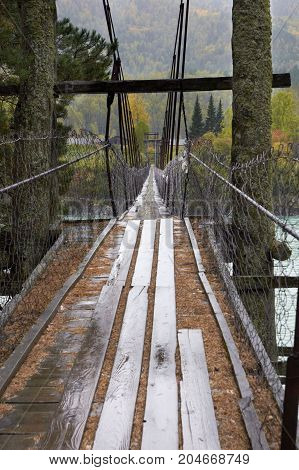 The mysterious bridge on rain. Nature. Forest. Stripes