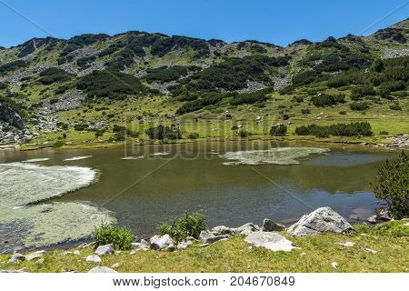 Amazing Summer Panorama with  Prevalski lakes, Pirin Mountain, Bulgaria