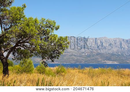 Landscape With Sea And Mountains