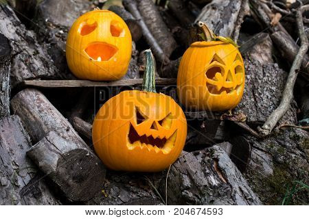 Halloween Themes. Composition Of Three Carved Halloween Pumpkins On Wooden Background. Pumpkins With